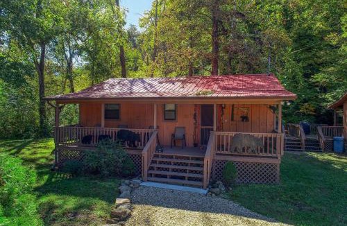 Cosby Ski Chalet | Wandering Creek