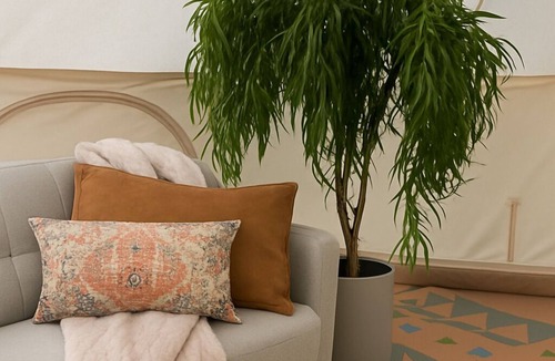 Boss Apartment | Wandering Willow – Private Stargazing Glamping Tent with Fire Pit & Open Skies