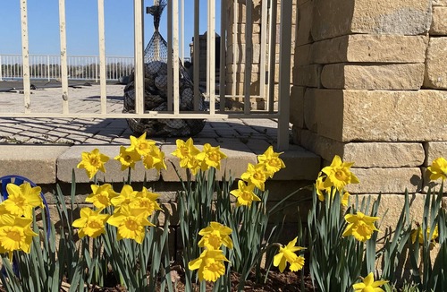 Ware House | Ware Haven Cottage On The Ware River With Pool, Pier, And Kayaks.