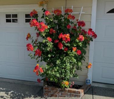 Grants Pass House | Warm and Inviting