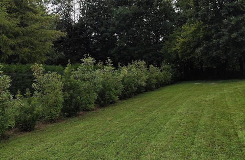 Naives-Rosieres Apartment | Warm, atypical apartment