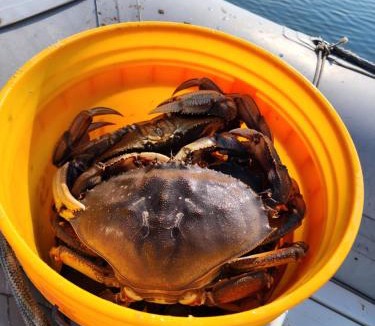 Warm Beach House | Warm Beach House Stanwood