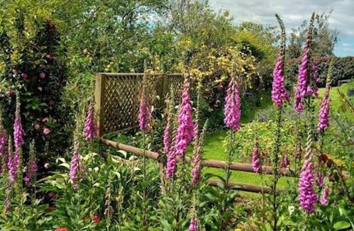 Aongatete Bed & Breakfast | Warm Earth Cottages