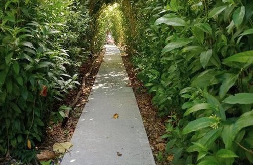 Aongatete Bed & Breakfast | Warm Earth Cottages