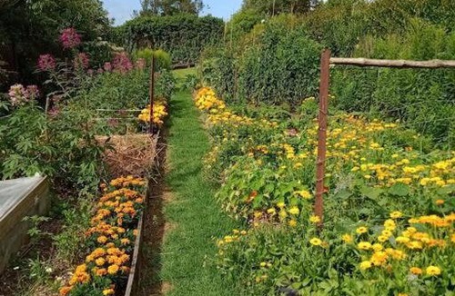 Aongatete Bed & Breakfast | Warm Earth Cottages