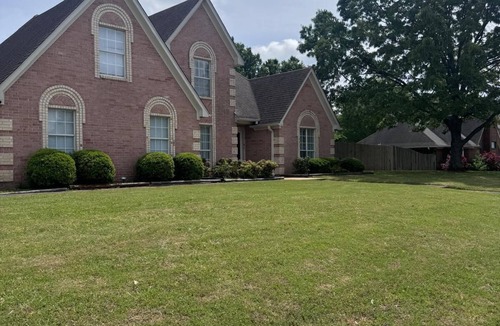 Olive Branch House | Warmth & Charming, Cozy 4BR Brick Home with Private Pool in Olive Branch