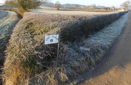 Bourton House | Warren @ ash farm Cotswolds