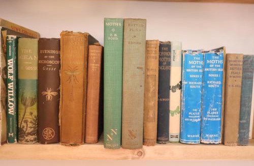 Bures House | Warren Cottage