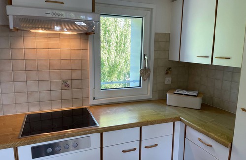 Heiden Apartment | Wartheim holiday flat with private terrace