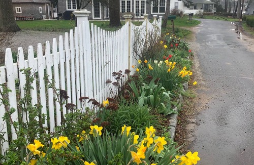 Guilford House | Water, Charm, Shore, Relaxation. Steps to Beach!