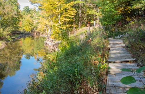 Roscommon Cottage | Water-Front, Au Sable River Cheerfully Updated Getaway