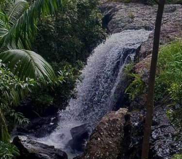 Carool Apartment | Waterfall Lodge