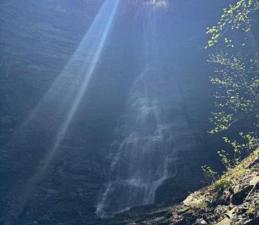 Bristol Hills House | Waterfall Retreat Hot Tub, Pickleball, Fire Pit