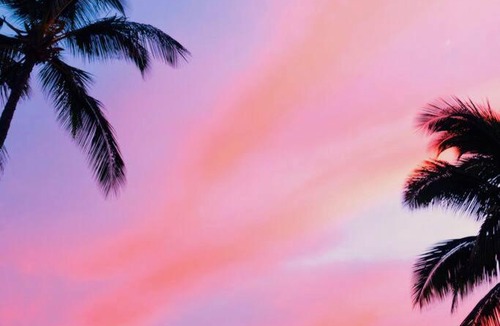 Hakalau House | Waterfall Wellness Haven Sauna, Ice Bath, & More