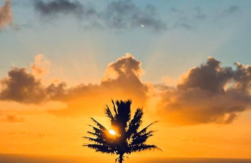 Hakalau House | Waterfall Wellness Haven Sauna, Ice Bath, & More