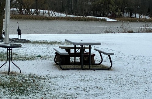 Selkirk Cabin | Waterfront 2 room cabin
