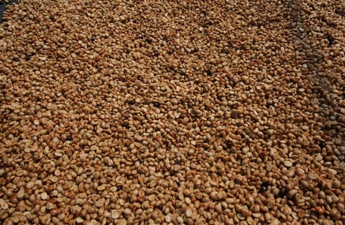 Wentworth Point Apartment | Waterfront Bliss | Brand New & Modern Resort-Style