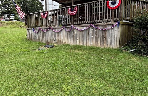 Cleora Cabin | Waterfront Cabin with Access to swim dock, fishing dock, and boat ramp.