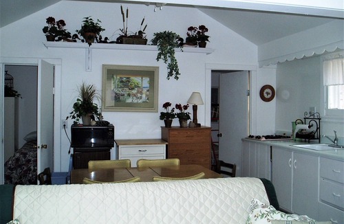 Cape Vincent Cottage | Waterfront Cottage! RENOVATED 2026 Amazing Sunset Views!