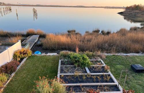 Harbor View - Orient Heights Villa | Waterfront Escape - Close to Airport & Downtown