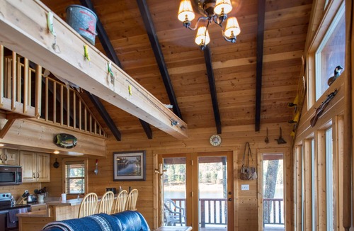 Bigfork Cabin | Waterfront Island Cabin with Pontoon Boat
