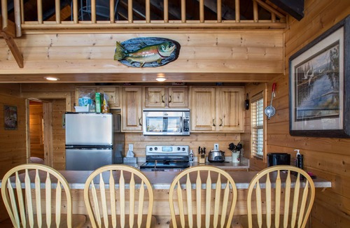 Bigfork Cabin | Waterfront Island Cabin with Pontoon Boat