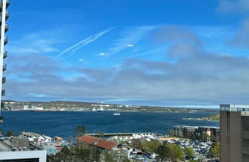 Downtown Halifax Apartment | Waterfront large 1 BR with 6 appliances & gym