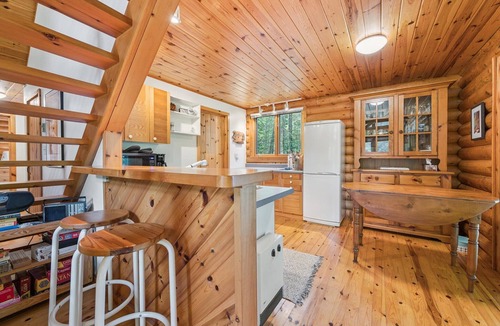 Lion's Head Cabin | WATERFRONT | Log Cabin | Starlink |