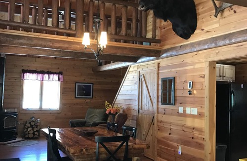 Rockwood Cabin | Waterfront Log Cabin With Private Dock And Game Room