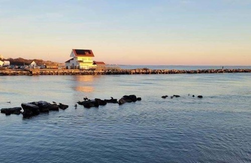 Jerusalem Cottage | Waterfront on BI Sound, steps to beach
