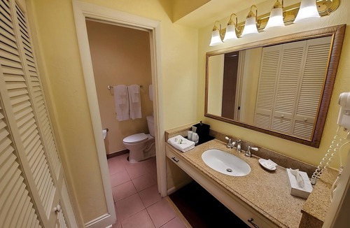 Crystal River Hotel | Waterfront Resort | Pools, Dining & Adventure on Crystal River