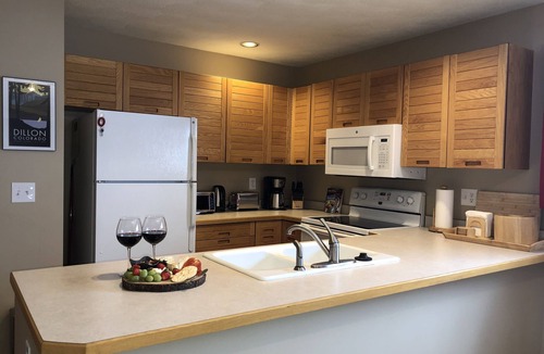 Dillon Condo | Waterfront Retreat on Lake Dillon. Lake/Mtn Views. Great Access to Skiing.