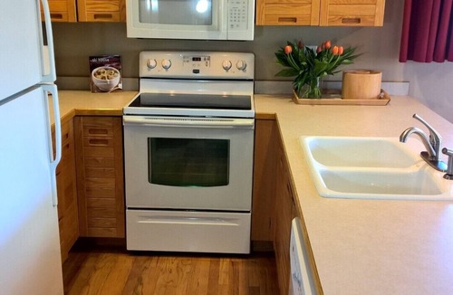 Dillon Condo | Waterfront Retreat on Lake Dillon. Lake/Mtn Views. Great Access to Skiing.