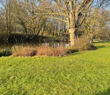 Ewhurst Green Apartment | Waters edge