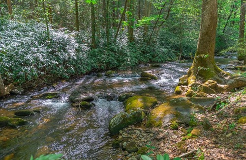 Cherry Log House | Waterside Cowboy cabin on Stanley Creek