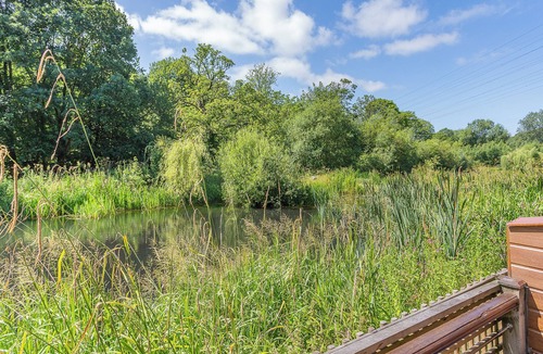 Rastrick Cottage | Waterside Lodge Thirteen - UK11853