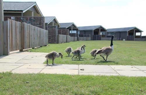 Cambridge Ski Chalet | Waterside Lodges Cambridge