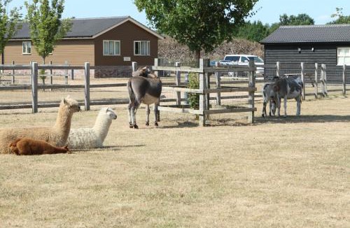 Cambridge Ski Chalet | Waterside Lodges Cambridge