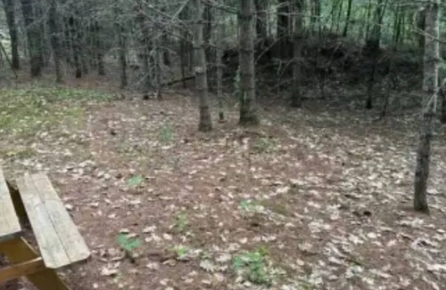 Limerick Cabin | Watersrock Woods Camp Site 2