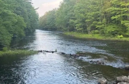 Limerick Cabin | Watersrock Woods Camp Site 2