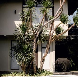 Berawa Resort | Wave House Resort Canggu