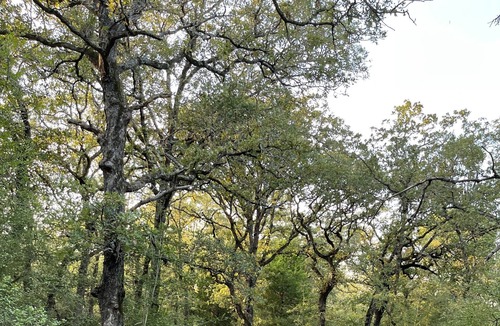 Lee County House | Way, way off the grid in a Lux RV 25 minutes from Austin