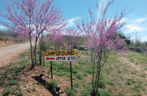 Bakersfield RV Rental | We Have A Campsite for Your RV