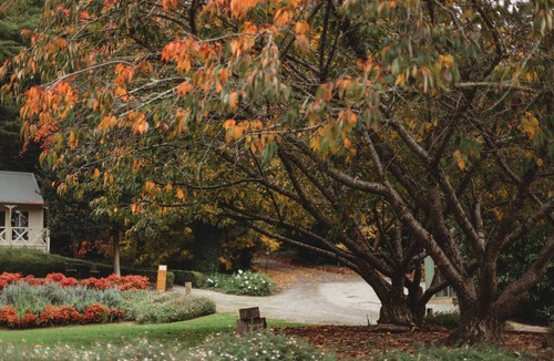 The Patch Cottage | Weardale Estate