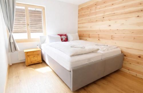 Klosters Platz Apartment | WEF Klosters Executive Apartment with Direct Train to Davos