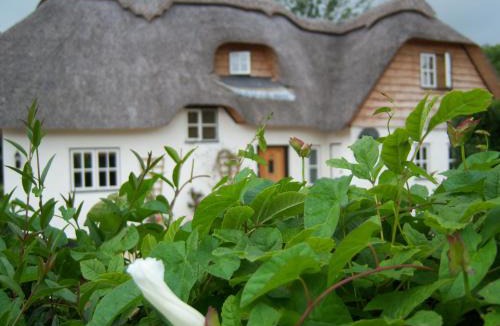 Martin House | Weir Cottage