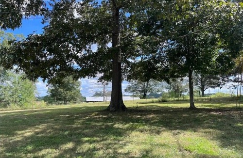 Cohutta House | Welcome to “Casa Olivet”