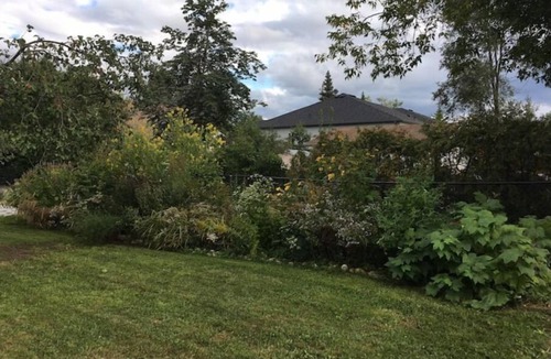 Georgina House | Welcome to Cozytown by the Lake