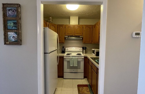 Springs at Kings Bay Condo | Welcome to Crystal River! Can’t beat the view