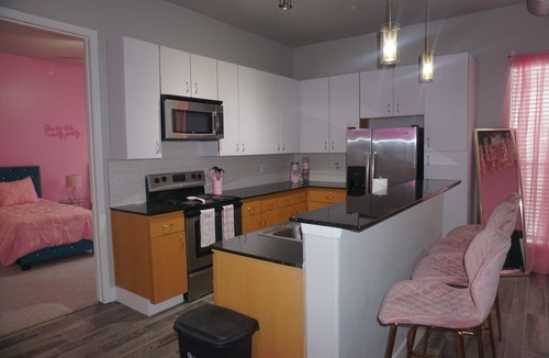Energy Corridor Apartment | Welcome to Gurl World Pink 2 bdr Loft